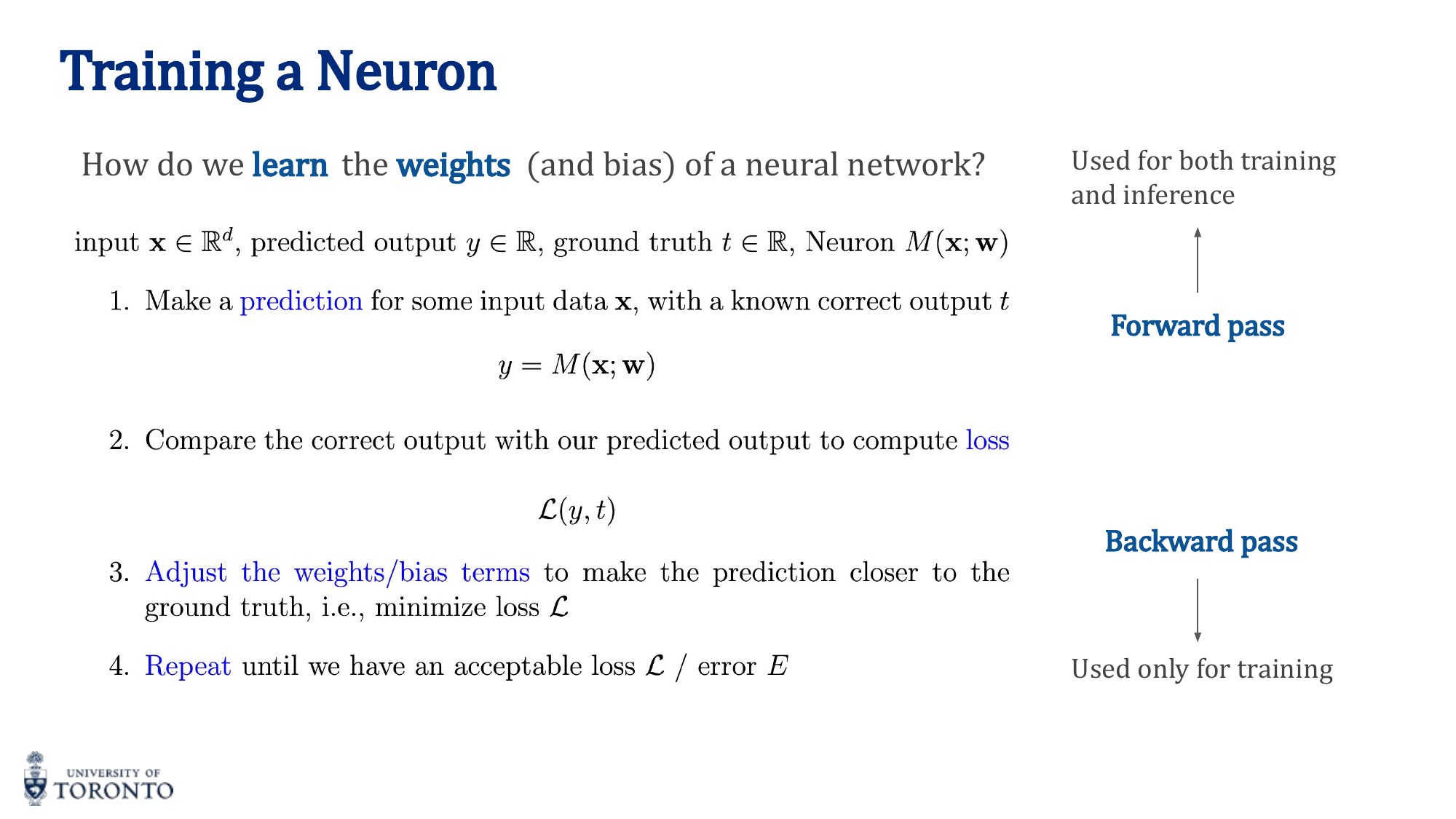 Training loop diagram showing forward pass, loss computation, backward pass, and weight update