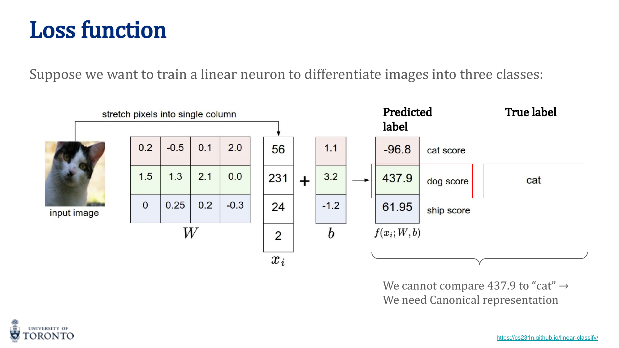 Softmax function transforming logits to probabilities