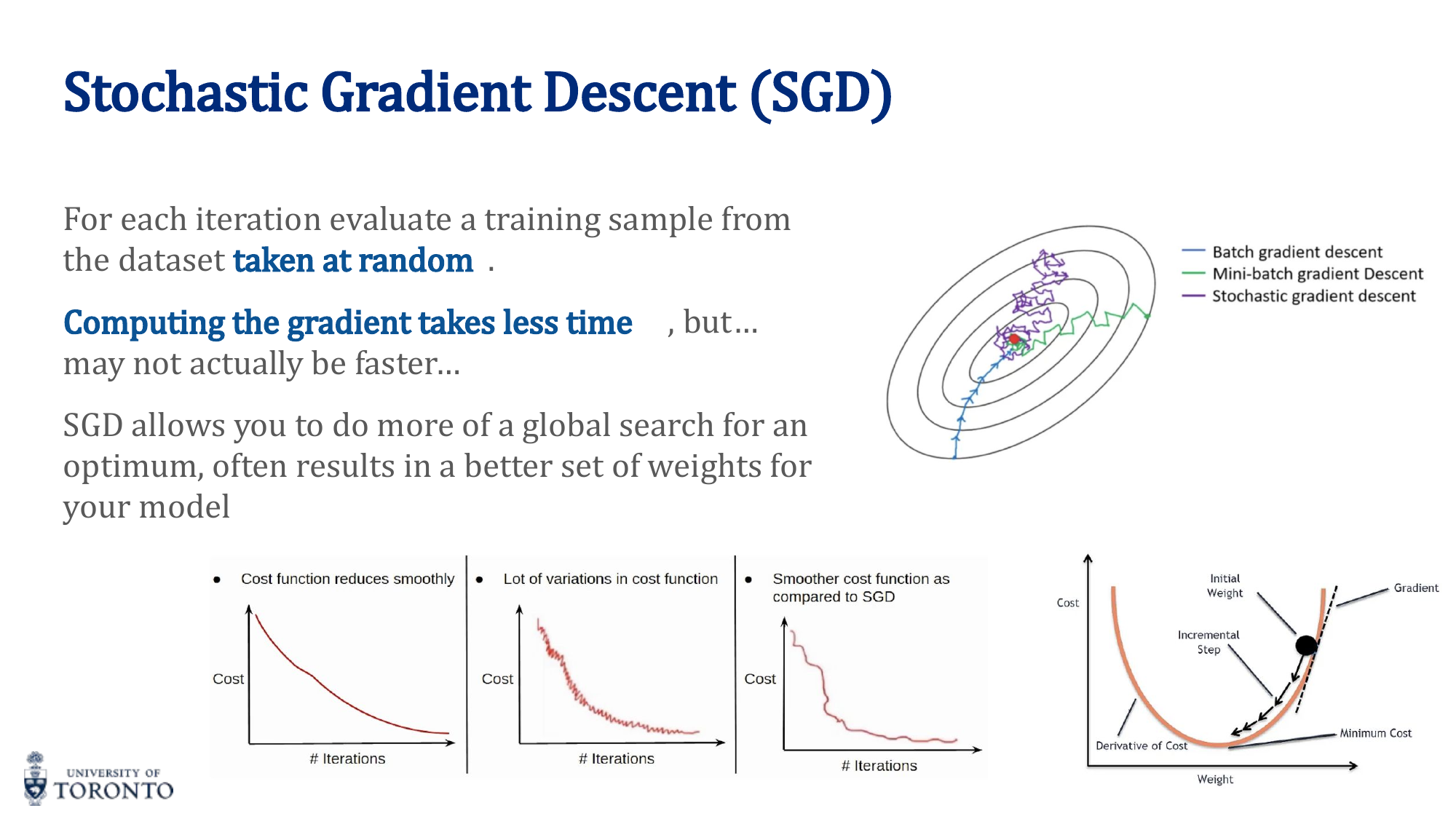 SGD, mini-batch, and batch gradient descent comparison