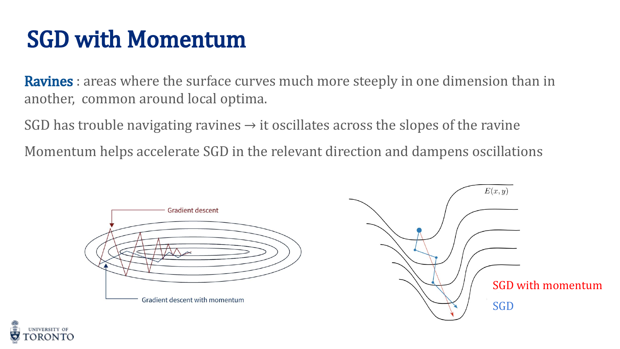 SGD with momentum diagram showing velocity accumulation