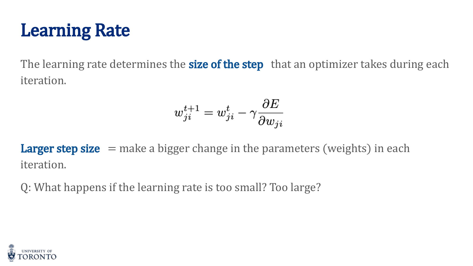 Effect of learning rate size on training
