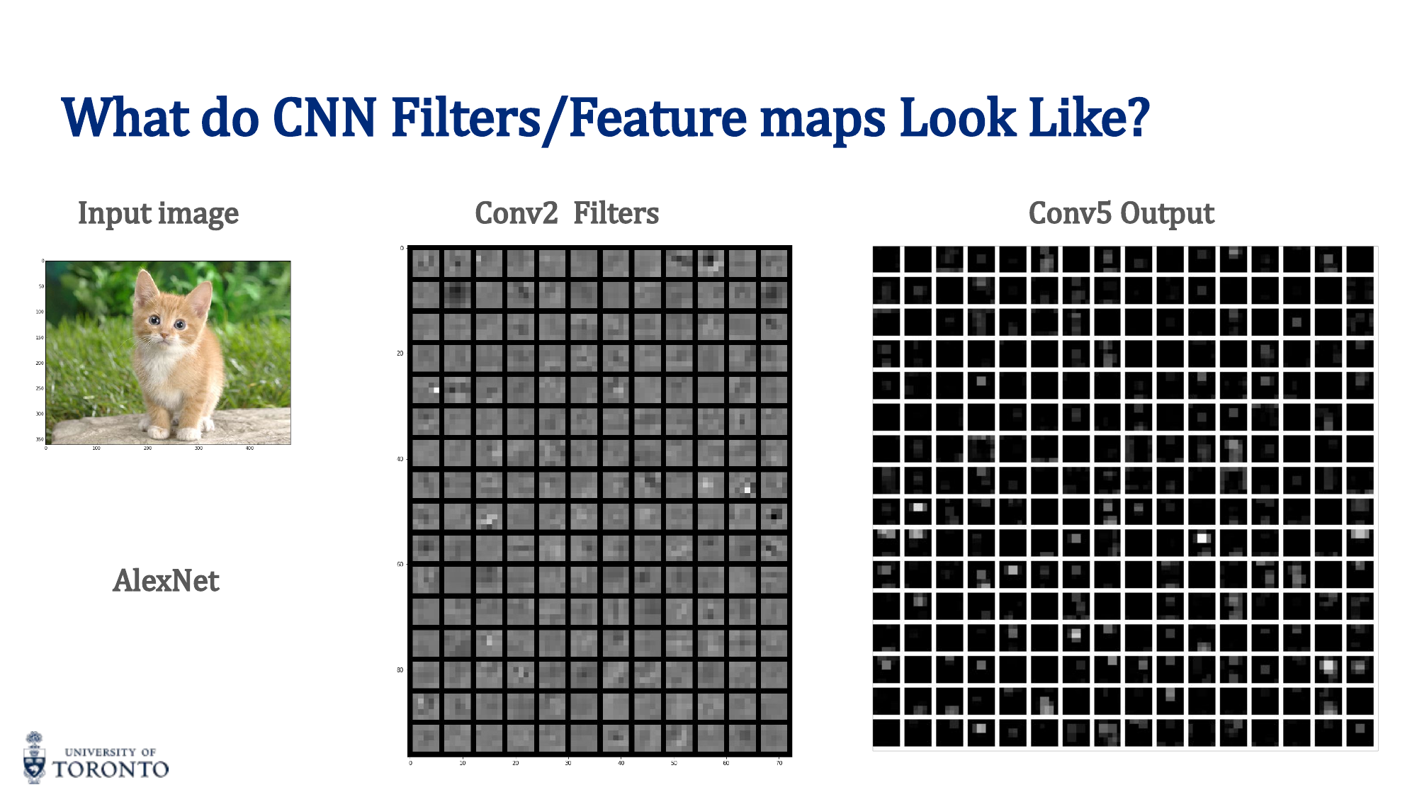 Feature hierarchy: edges to textures to object parts